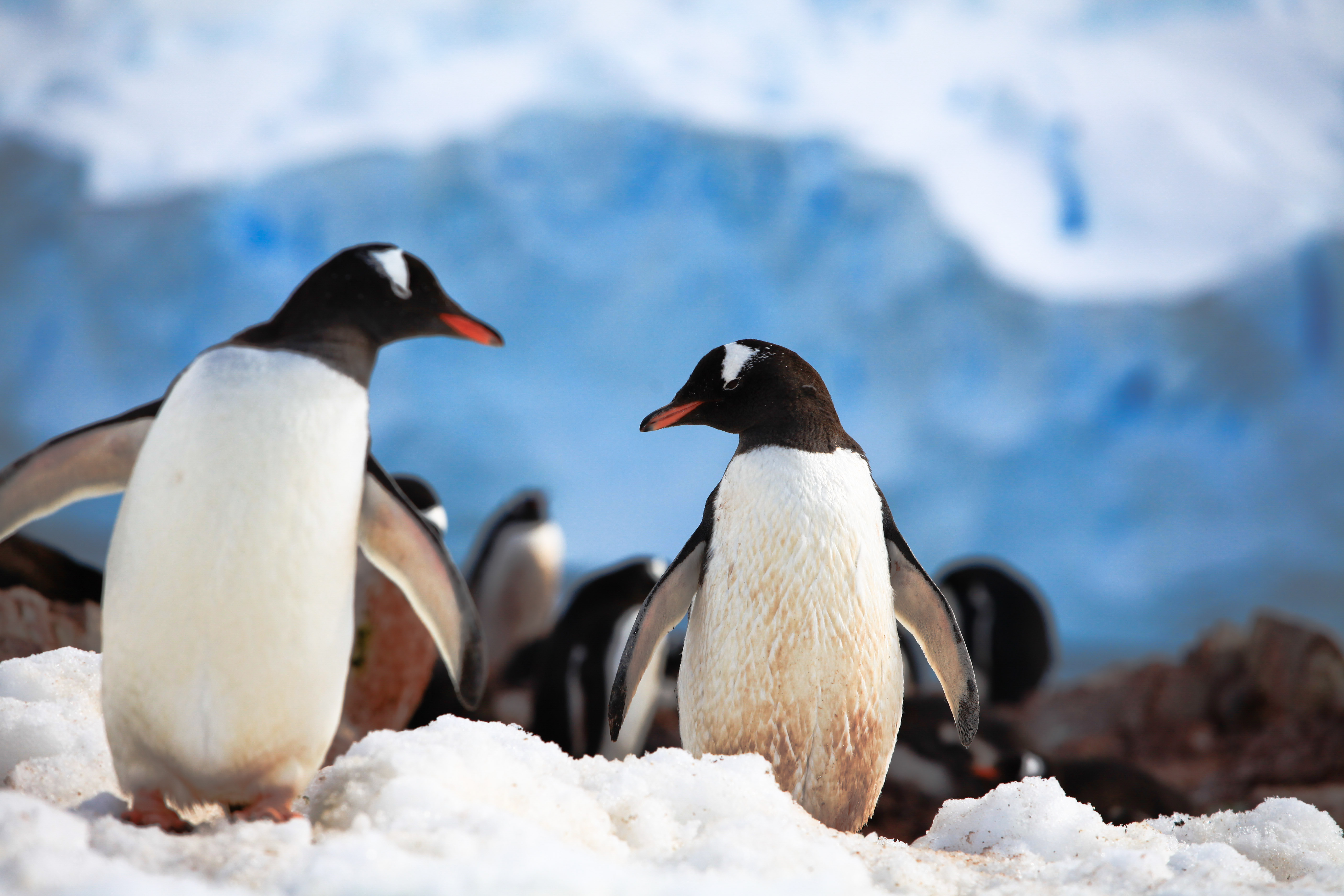 2015年投资开店干什么?201510个小而美的赚