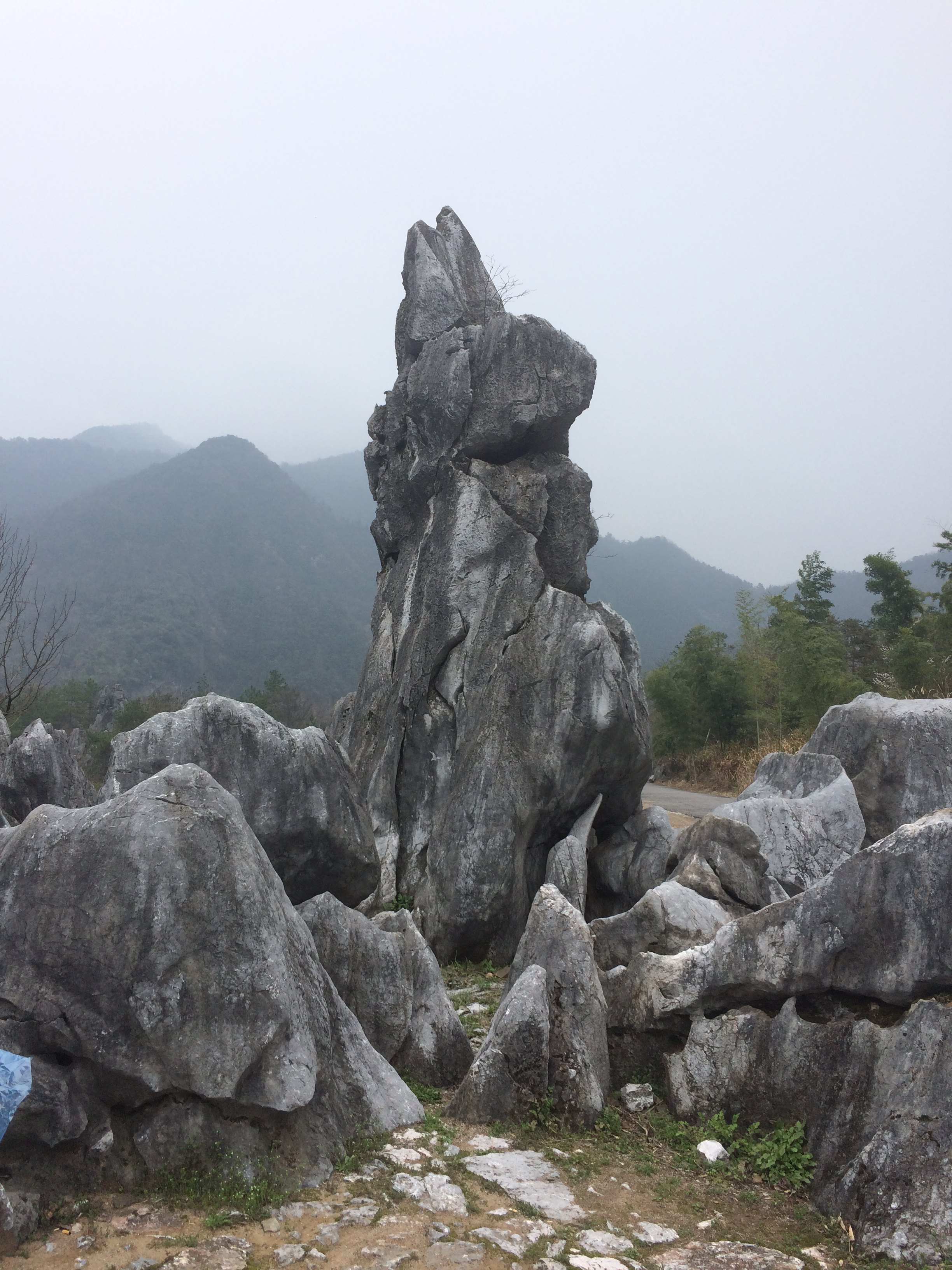 千岛湖石林景区