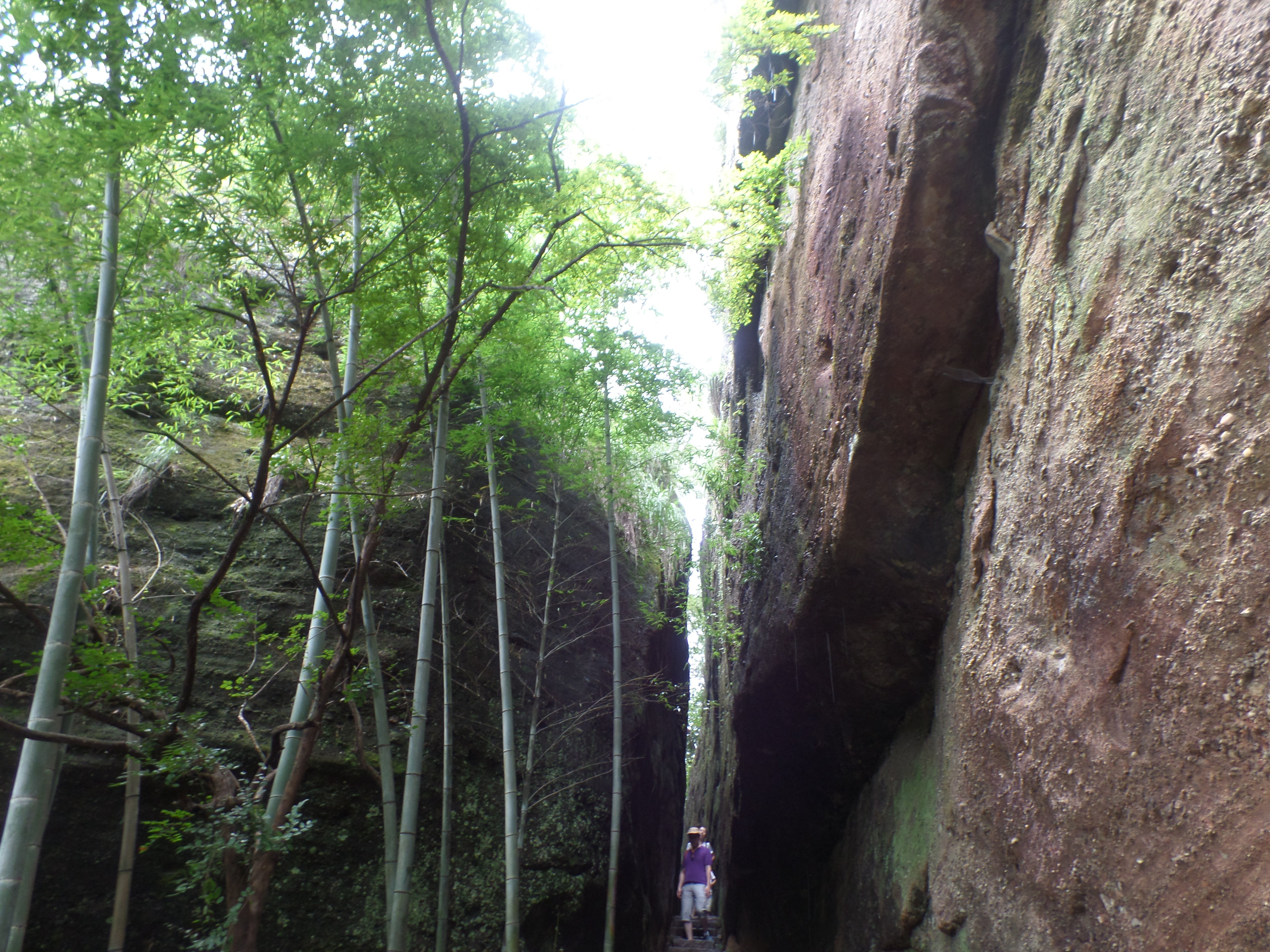 20140829~31武夷山4日游