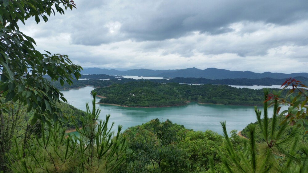 【携程攻略】河源万绿湖景点,从山上看局部全景有种的