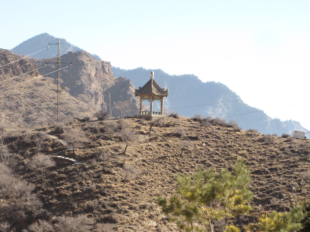 在贺兰山中揽松涛山庄