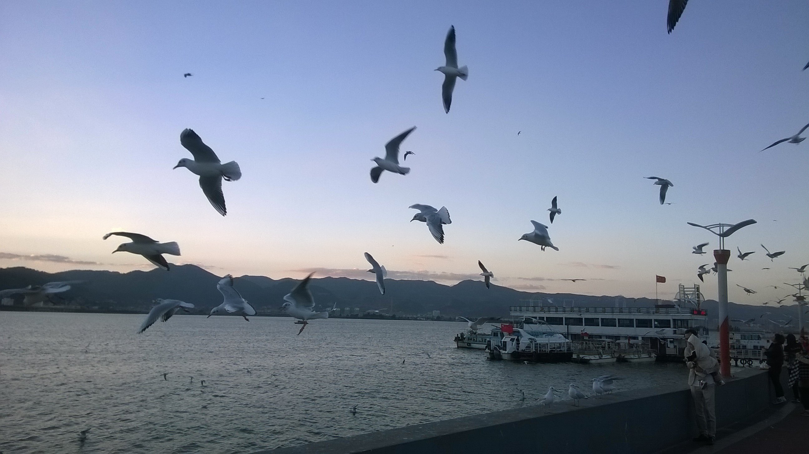 海埂大坝