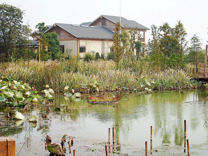 洋湖湿地公园