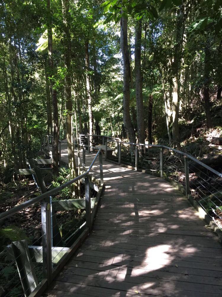 蓝山国家公园缆车游览记