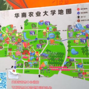 华南农业大学树木园