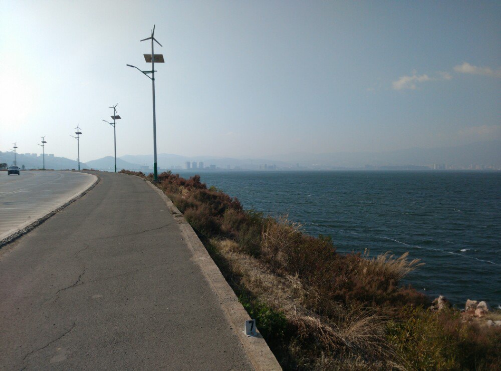 今天安排包车环洱海一日游,下午到喜洲入住海景客栈.