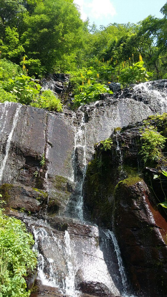 望天鹅风景区