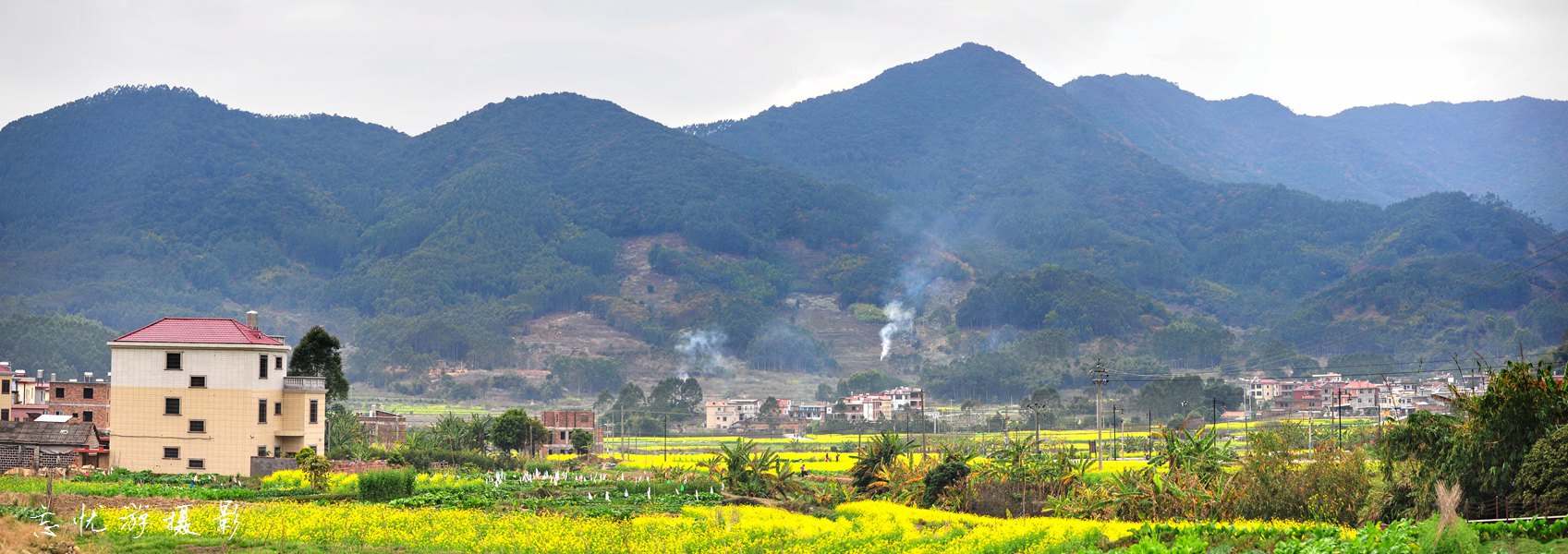 早春二月 长泰山重 赏中国最早的油菜花香