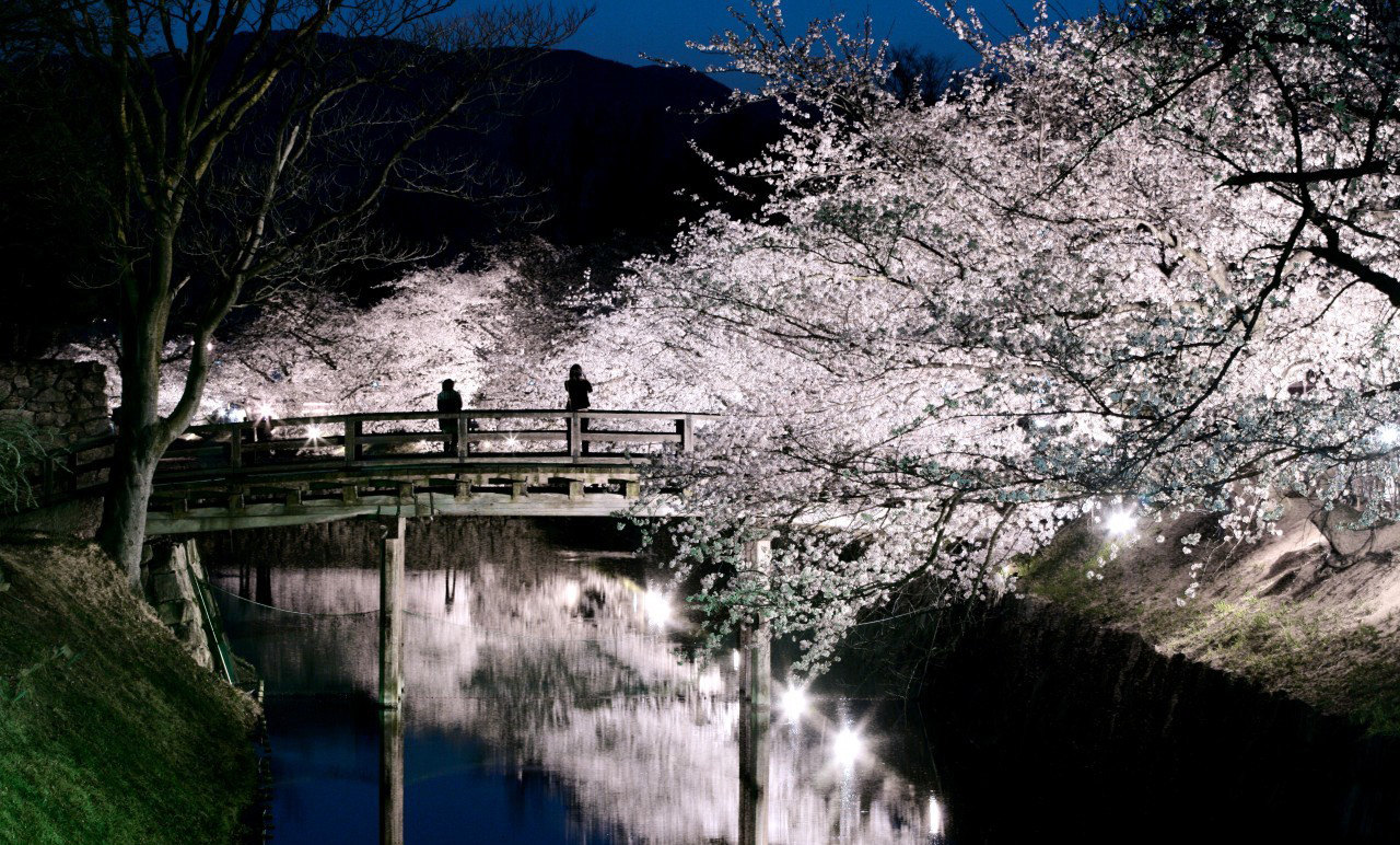 日本东京+长野县+岐阜县+箱根+伊豆市+轻井泽