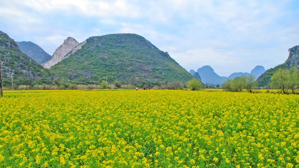 04月18日临桂天气预报:阵雨 气温: 21℃~29℃