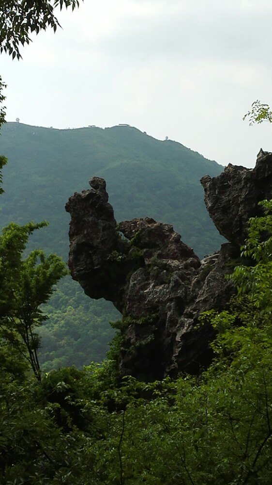 【携程攻略】湖北荆门京山绿林古兵寨好玩吗,湖北绿林古兵寨景点怎么