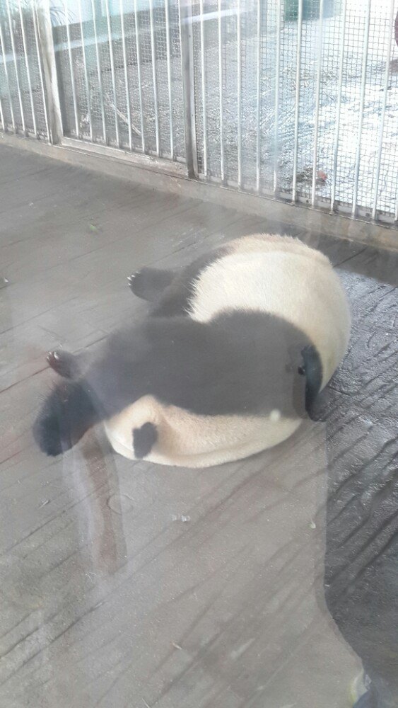 金昌旅游攻略指南? 携程攻略社区! 靠谱的旅游攻略平台,最佳的金昌自助游、自由行、自驾游、跟团旅线路,海量金昌旅游景点图片、游记、交通、美食、购物、住宿、娱乐、行程、指南等旅游攻略信息,了解更多金昌旅游信息就来携程旅游攻略。