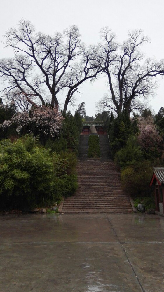 雨中游南郭寺 - 天水游记攻略【携程攻略】