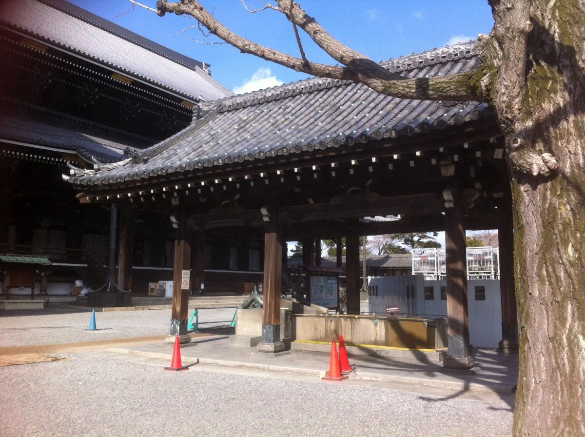 2019东本愿寺_旅游攻略_门票_地址_游记点评,京都旅游景点推荐 去