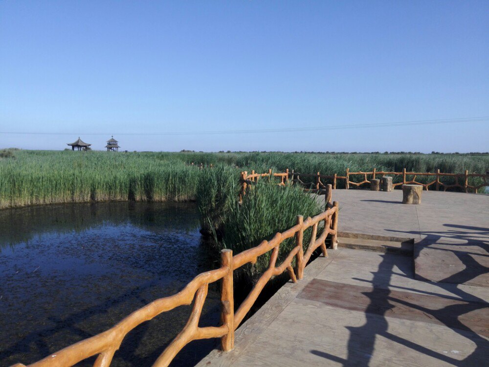 黄河口生态旅游区