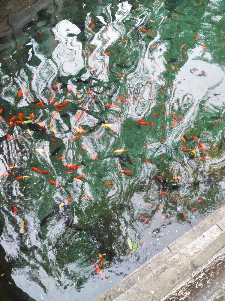 岳阳旅游攻略指南? 携程攻略社区! 靠谱的旅游攻略平台,最佳的岳阳自助游、自由行、自驾游、跟团旅线路,海量岳阳旅游景点图片、游记、交通、美食、购物、住宿、娱乐、行程、指南等旅游攻略信息,了解更多岳阳旅游信息就来携程旅游攻略。