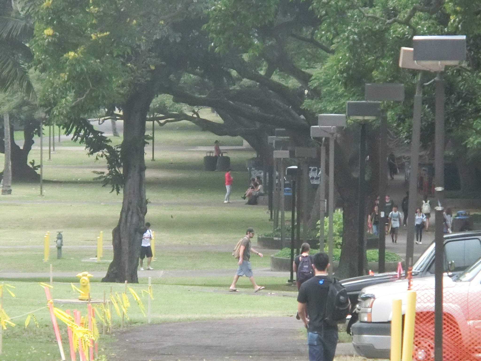 【携程攻略】檀香山夏威夷大学马诺阿分校景点,夏威夷大学,每到一个