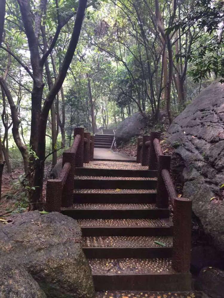 龙头山森林公园