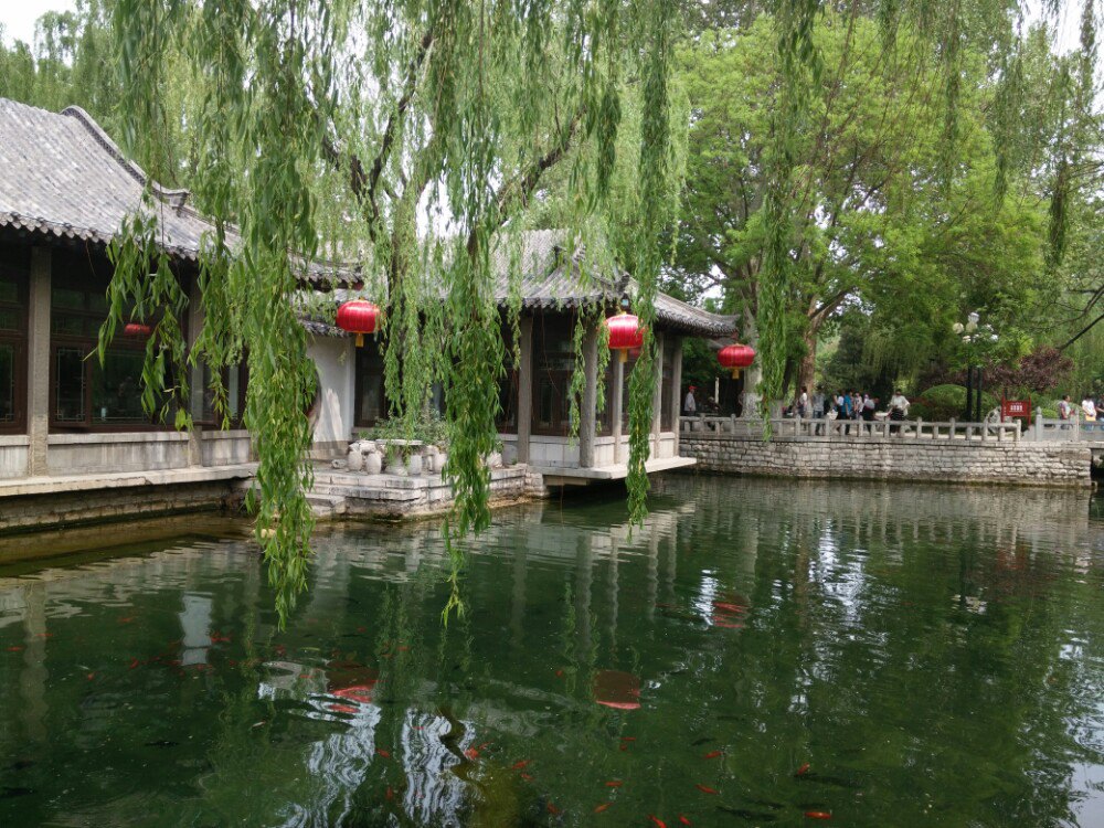 趵突泉是济南的一个非常有名的景点,在小学读书的时候就已经知道有这样一个景点,那时就在想要是什么时候有机会一定要来济南看看,而当自己真的来到趵突泉的时候,却也是有点儿失望,原来描写好的泉水并没有出现太多,只有那么一小股,现代的的工业太发达了,让原来的一些美丽景色已经成为历史。