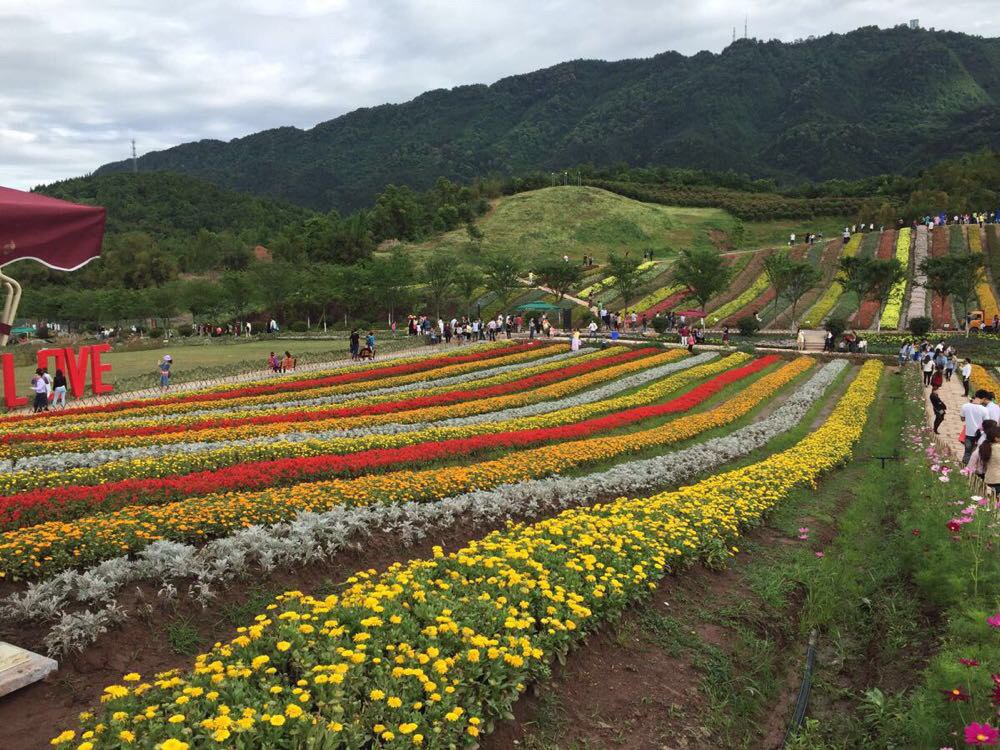 铜梁—四面山 与花同醉,烟雨梦,水长流