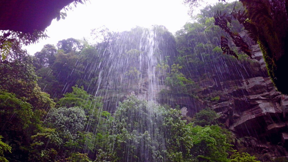 四川雅安市碧峰峡镇2012年,人均收入是多少?