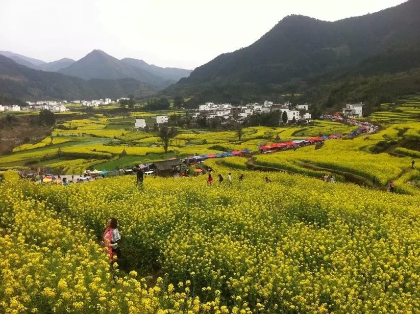 婺源风景区