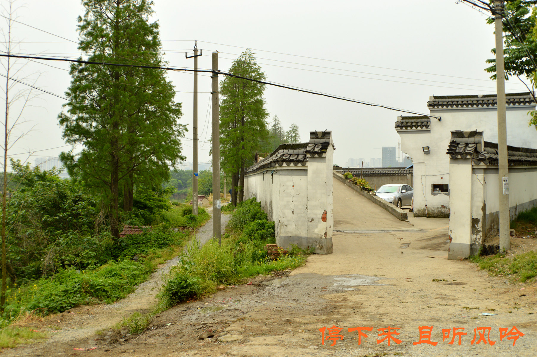 南京市高淳区薛城花台会