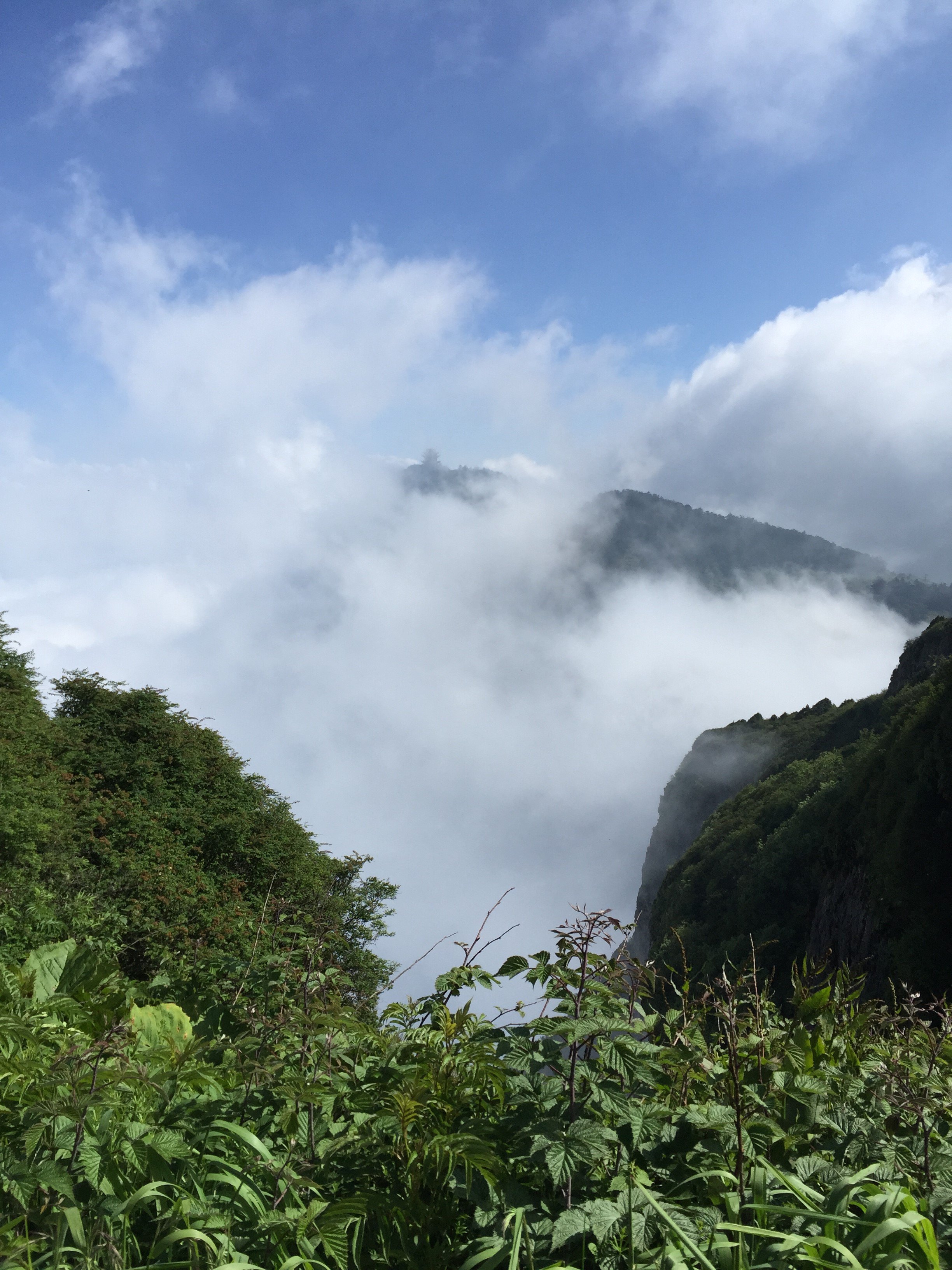 城际高铁时代的峨眉乐山游