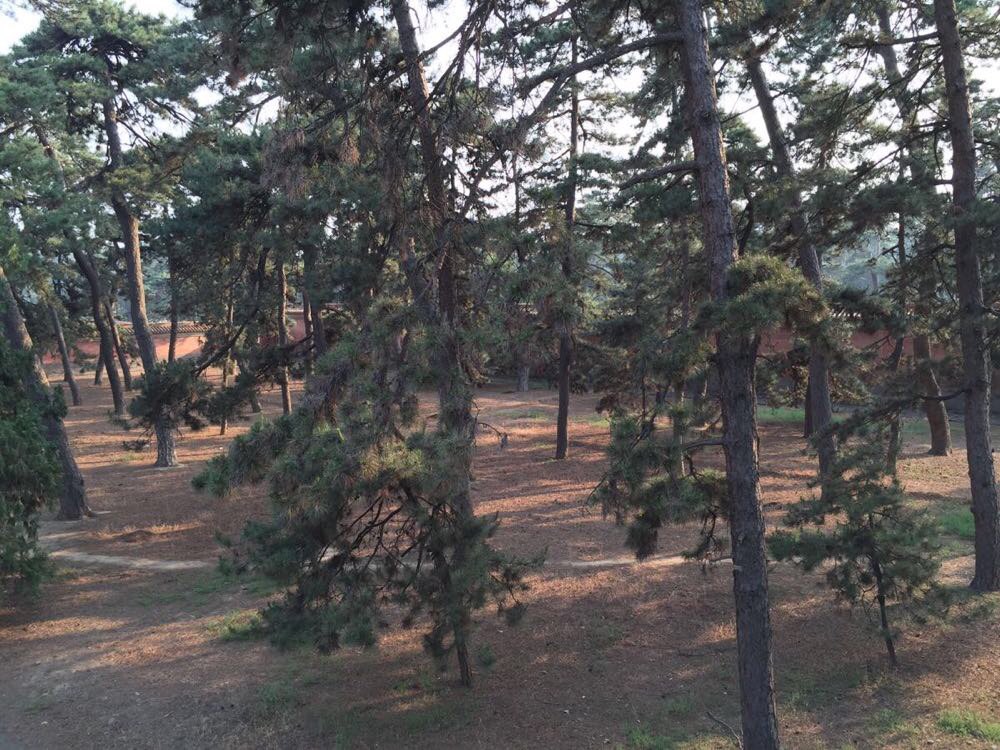 保定吧_58保定_保定地图 - 图片专栏 - 编织信息