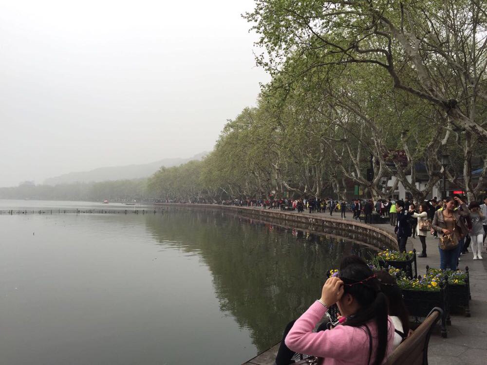西湖 明天中午12点的飞机回家 这里的春光很好 这里花红
