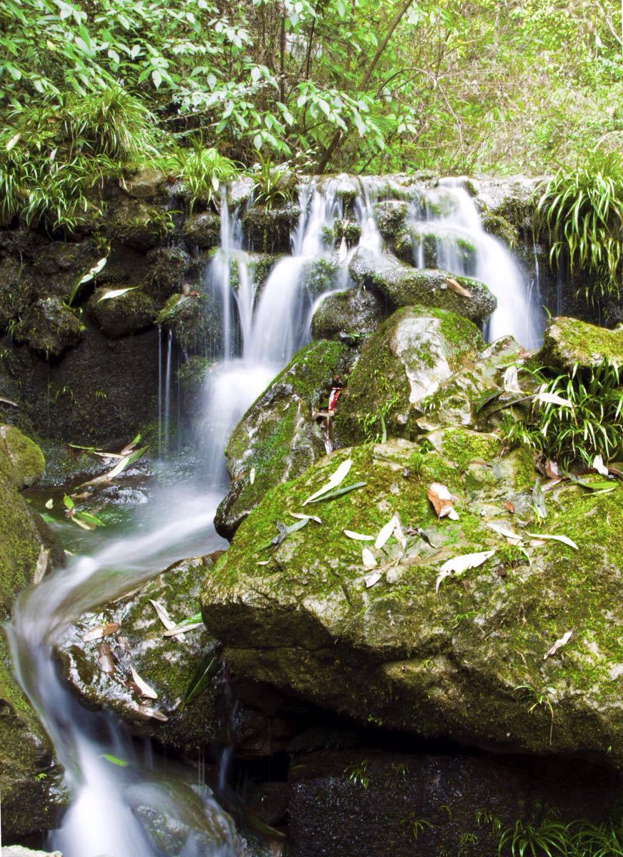 重庆酉阳桃花源攻略_酉阳桃花源_酉阳桃花源旅游攻略 - 三五资讯网