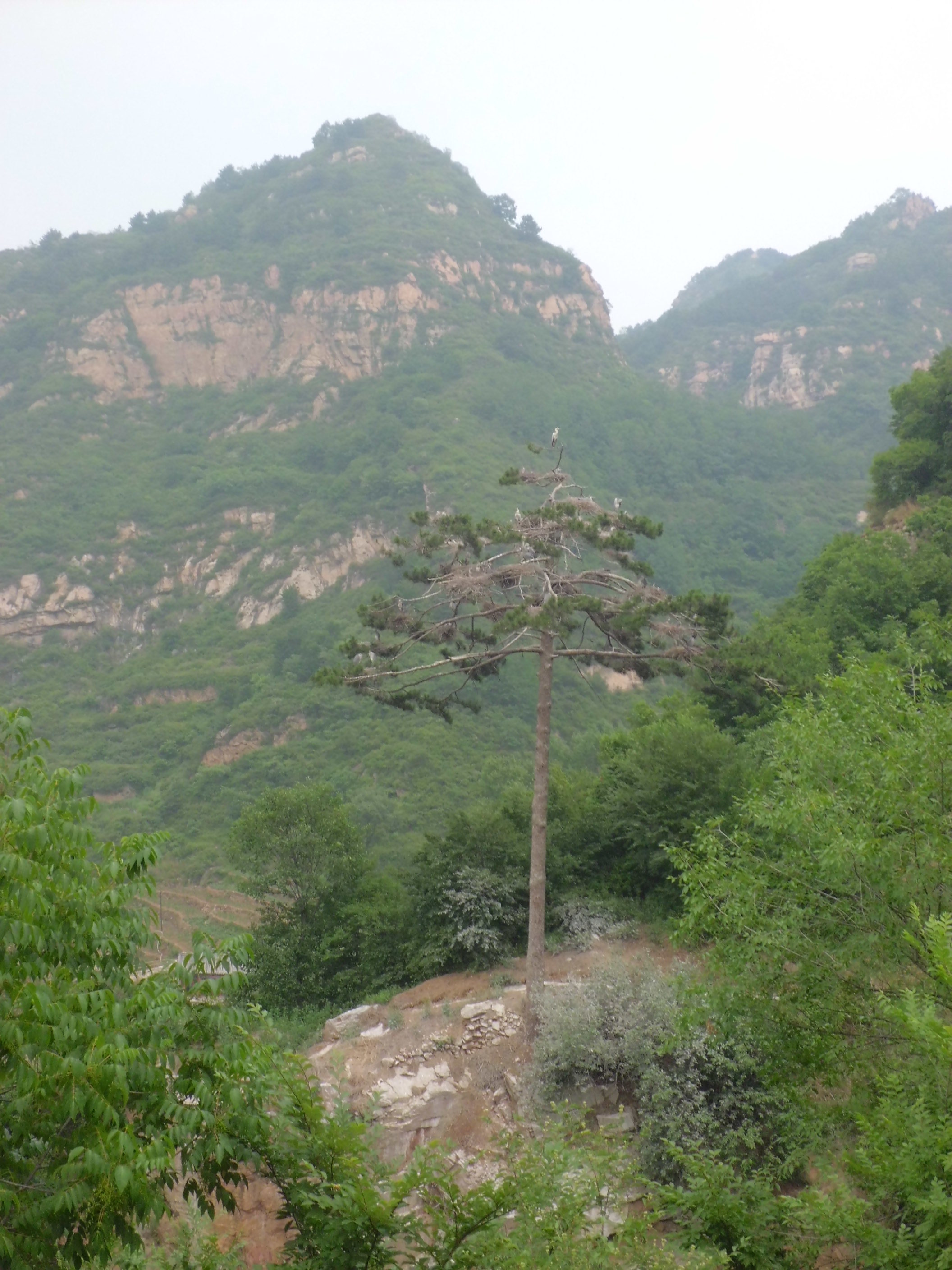 河北省石家庄市游记之平山(二)篇