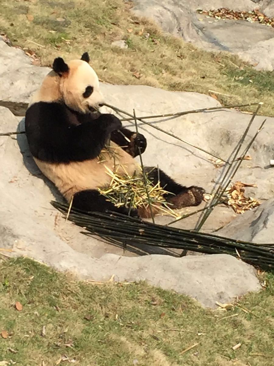 温州动物园