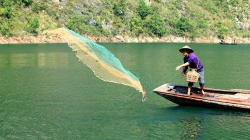 重庆+长江三峡4日跟团游(4钻)·蓝鲸号 爸妈放