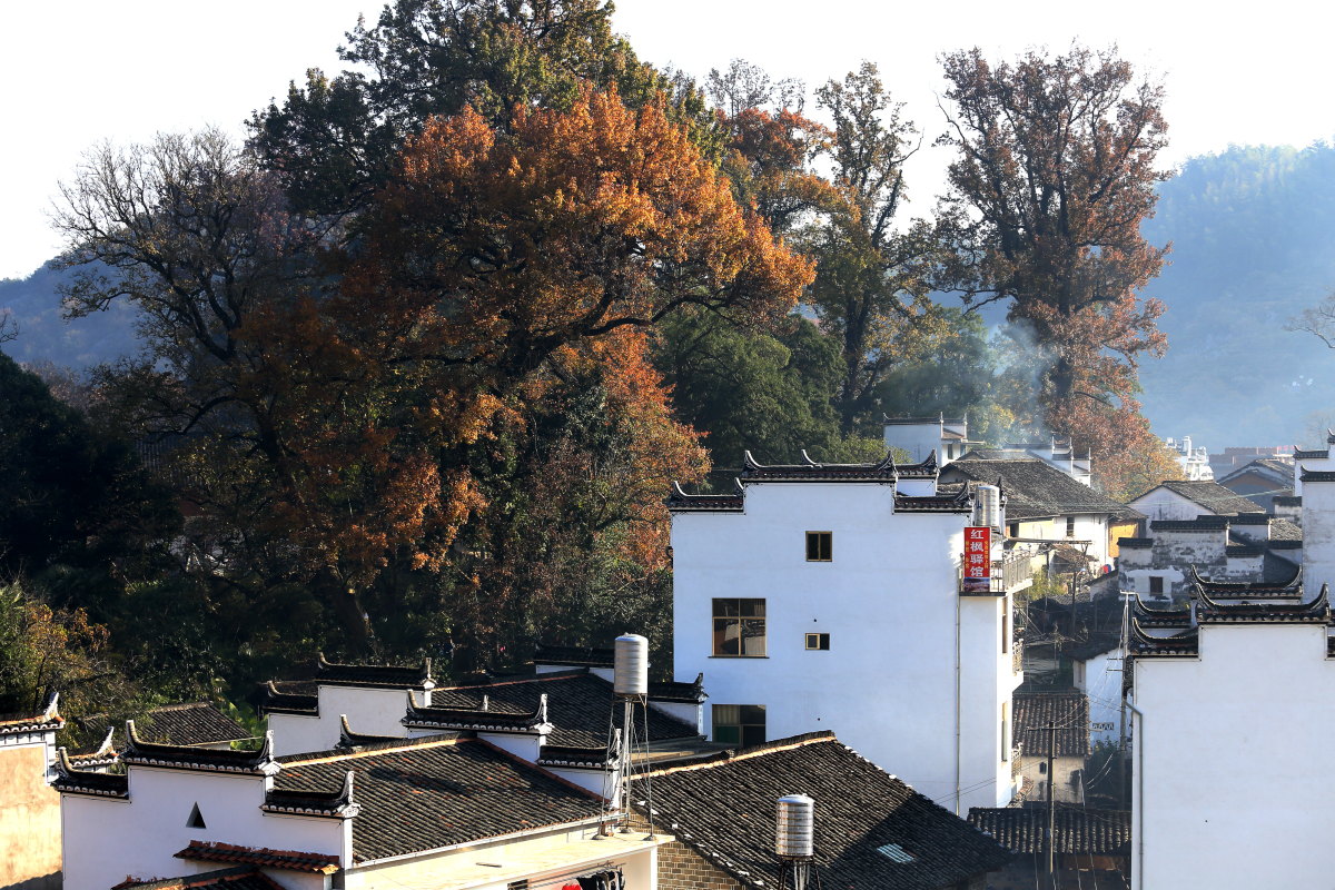 婺源石城