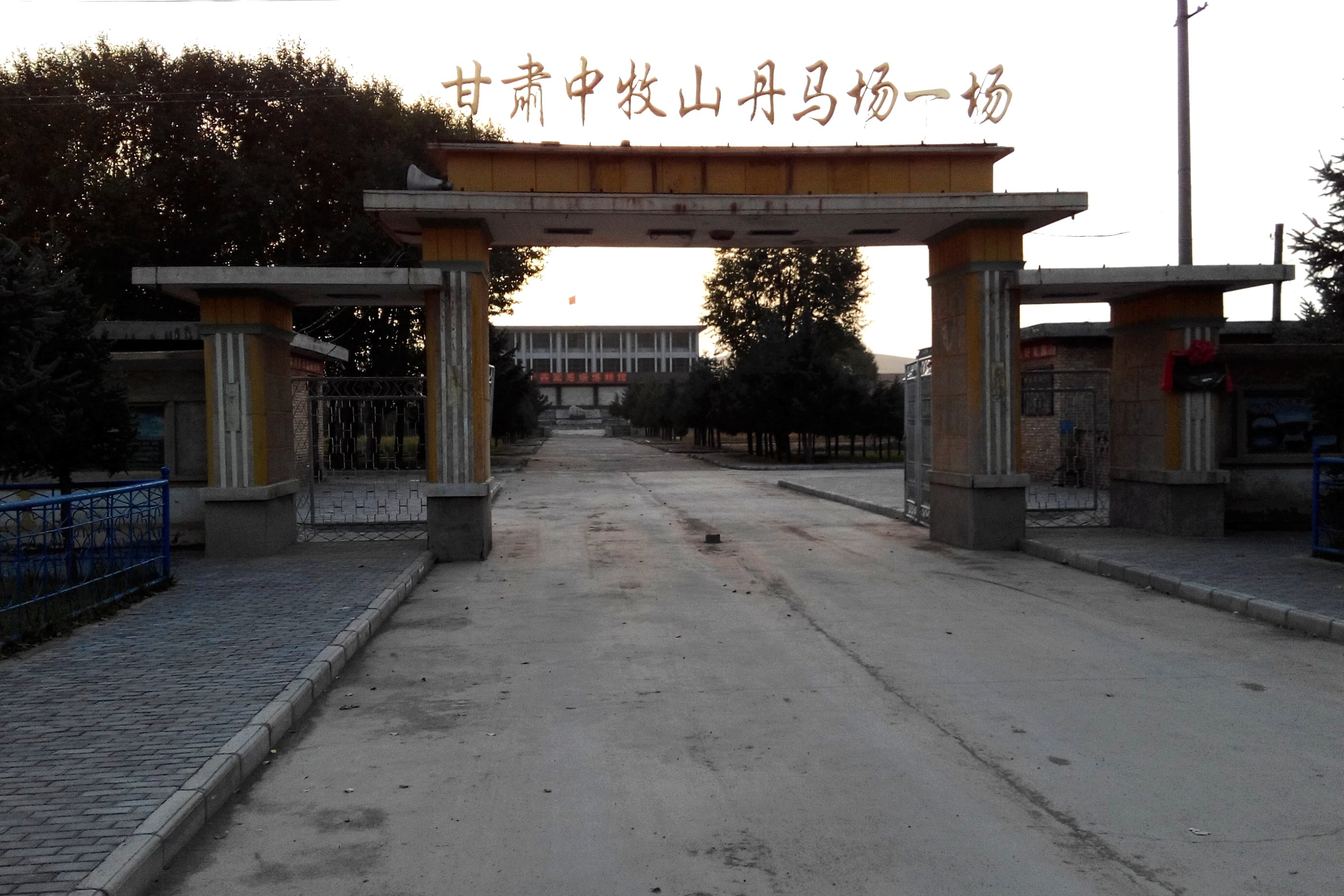 自驾山丹军马场绊折马脚;跟"夜雨"游额济纳算错时间(2014年秋西北游)