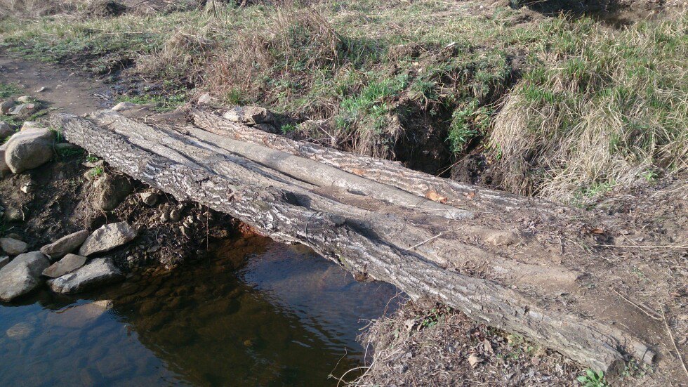 独木桥图片 携程网