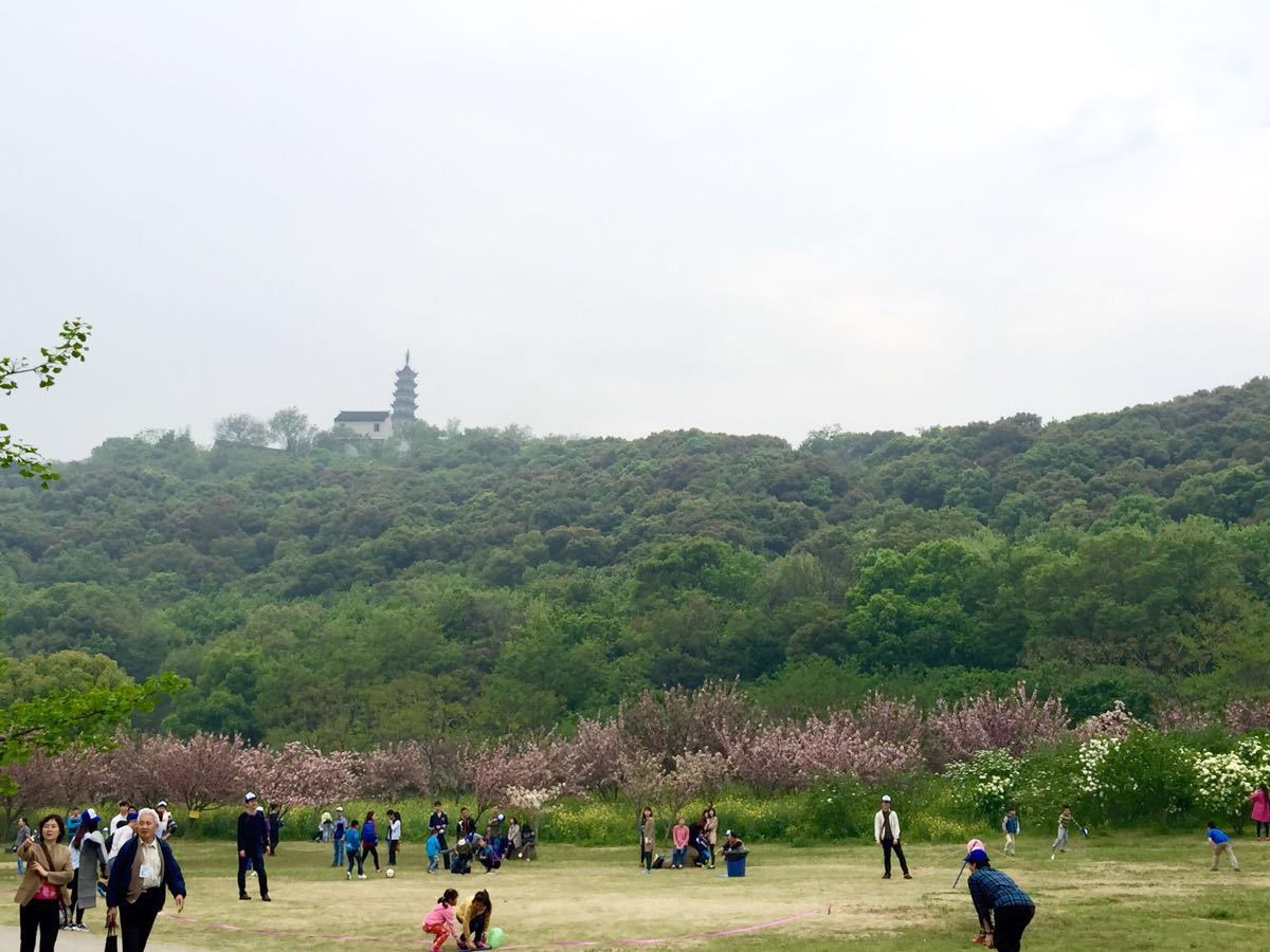 苏州苏州上方山国家森林公园好玩吗,苏州苏州上方山样