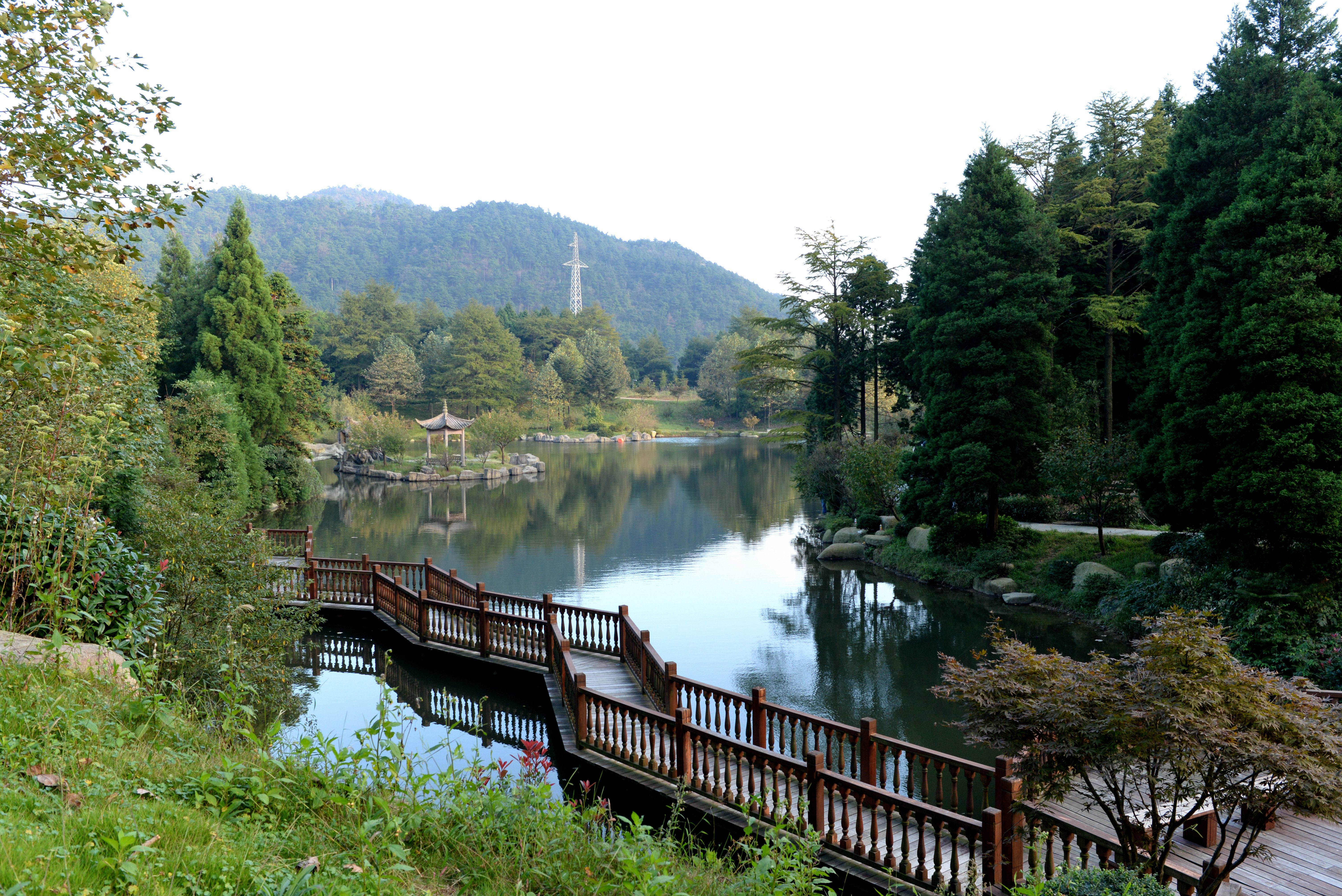 浙江余姚2日1晚跟团游(2钻) 四明山森林公园 杭州湾水世界