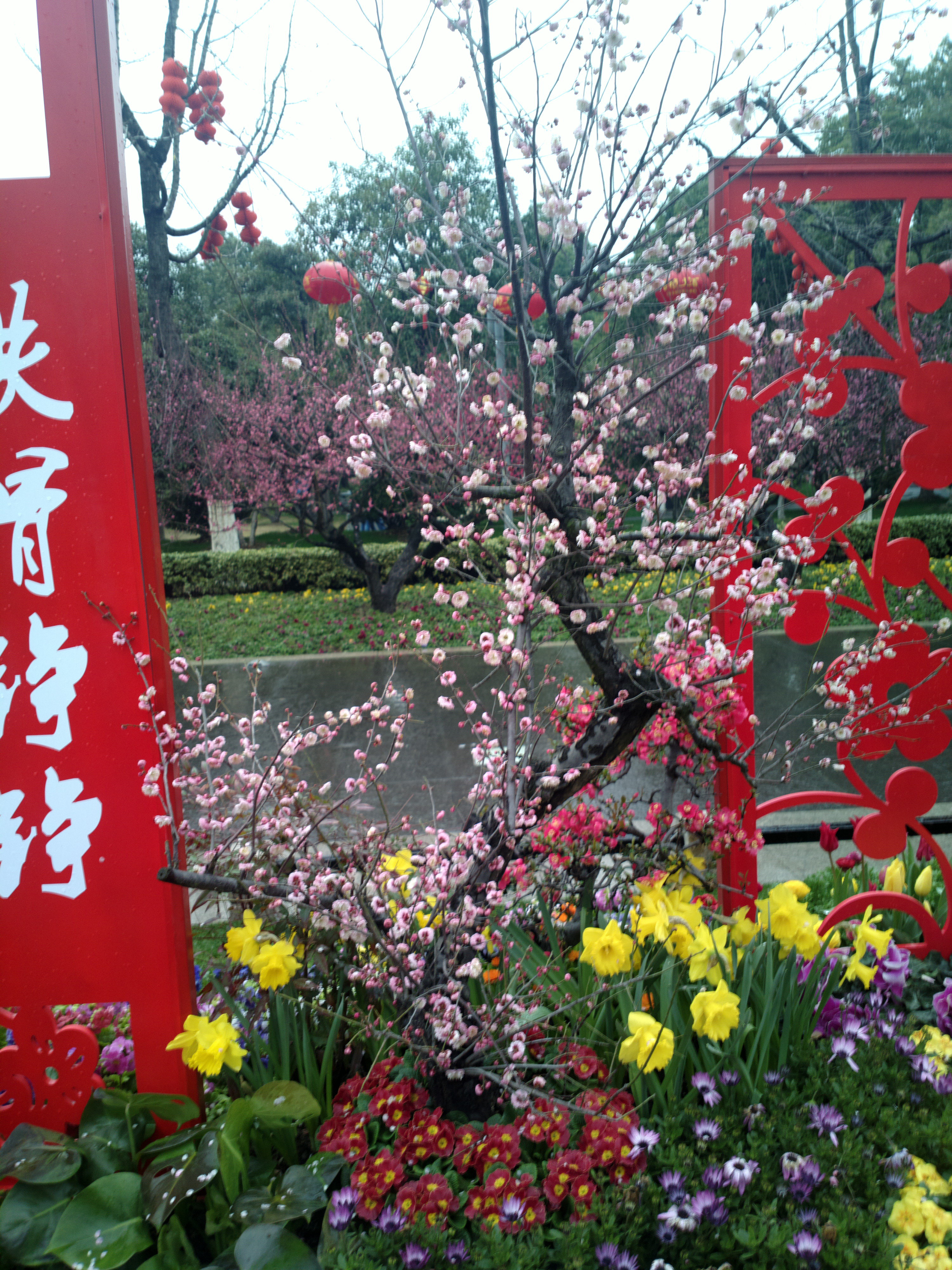 红梅公园