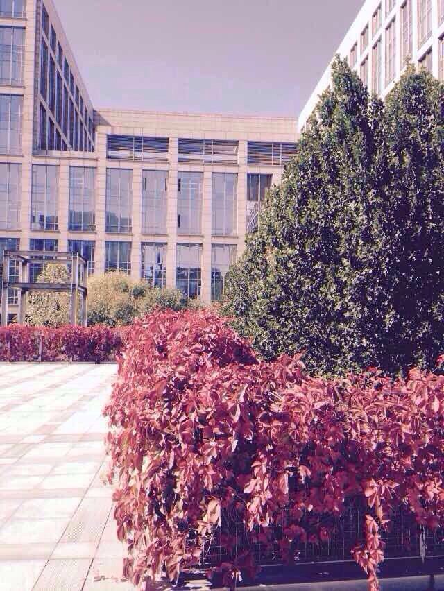 北航大学,美丽的高校