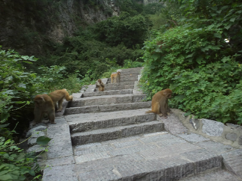 神农山旅游景点攻略图