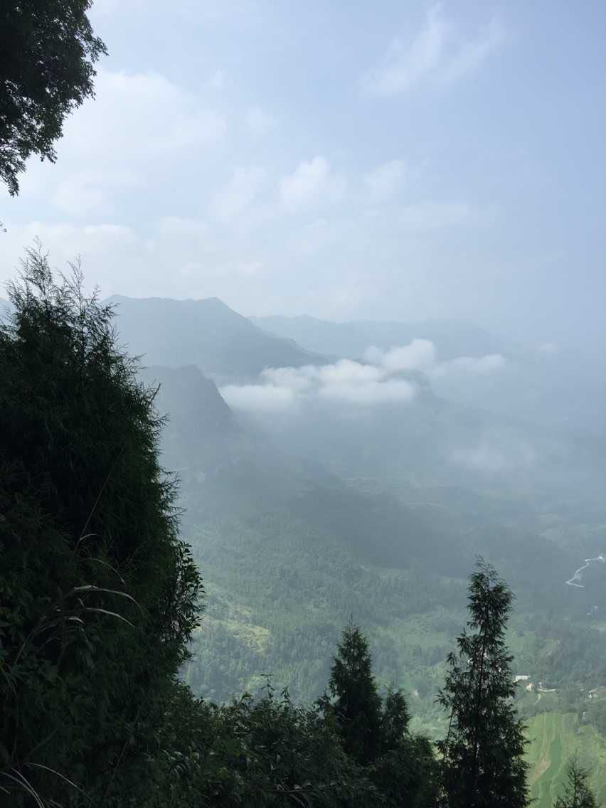 【携程攻略】正安天楼山景点,走的小路,可能不走小路看不到很多美景.