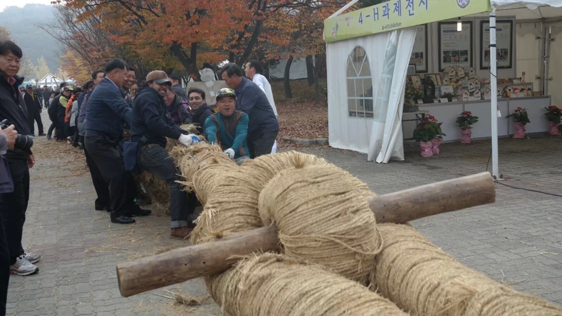 【游记-踏遍韩国之和你一起逛京畿道大米节】