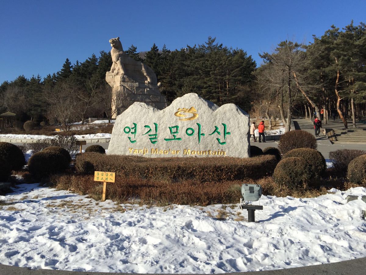 延吉帽儿山国家森林公园好玩吗,延吉帽儿山国家森林样
