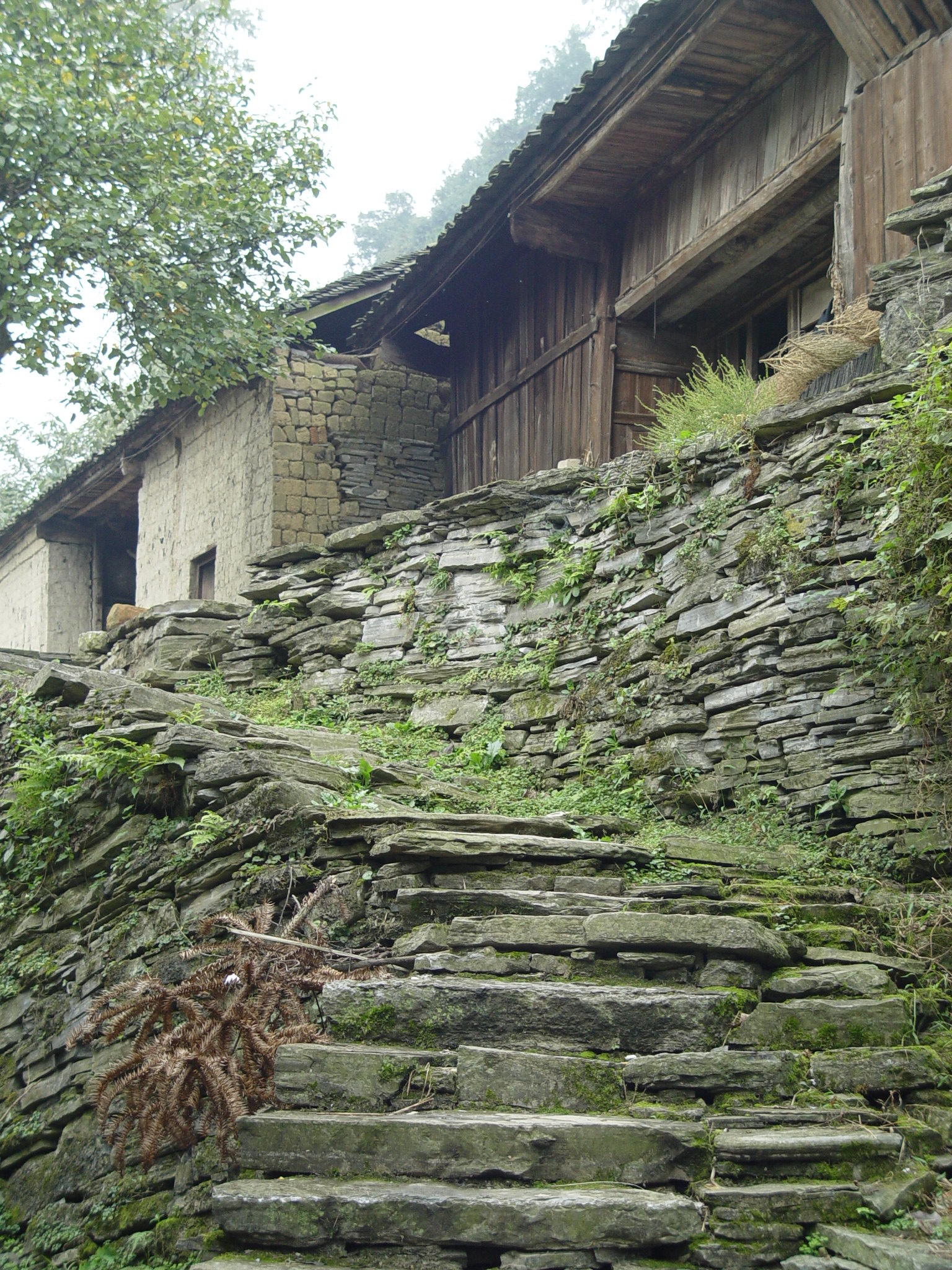 凤凰山江苗寨好玩吗,凤凰山江苗寨景点怎么样_点评