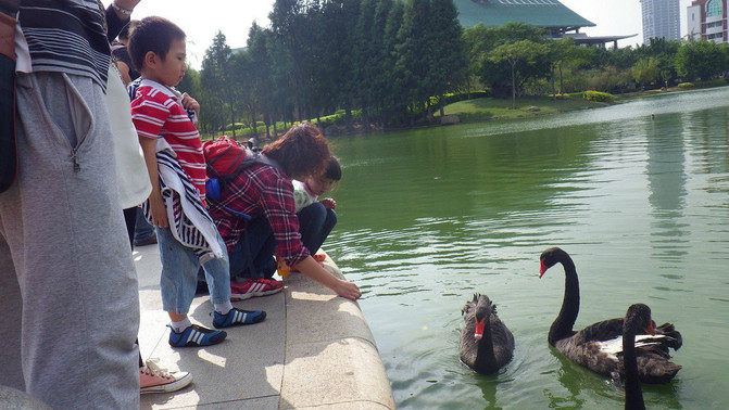 厦门:1.5+1.5的旅行(厦大、鼓浪屿、美食街)苏卅卡美食图片