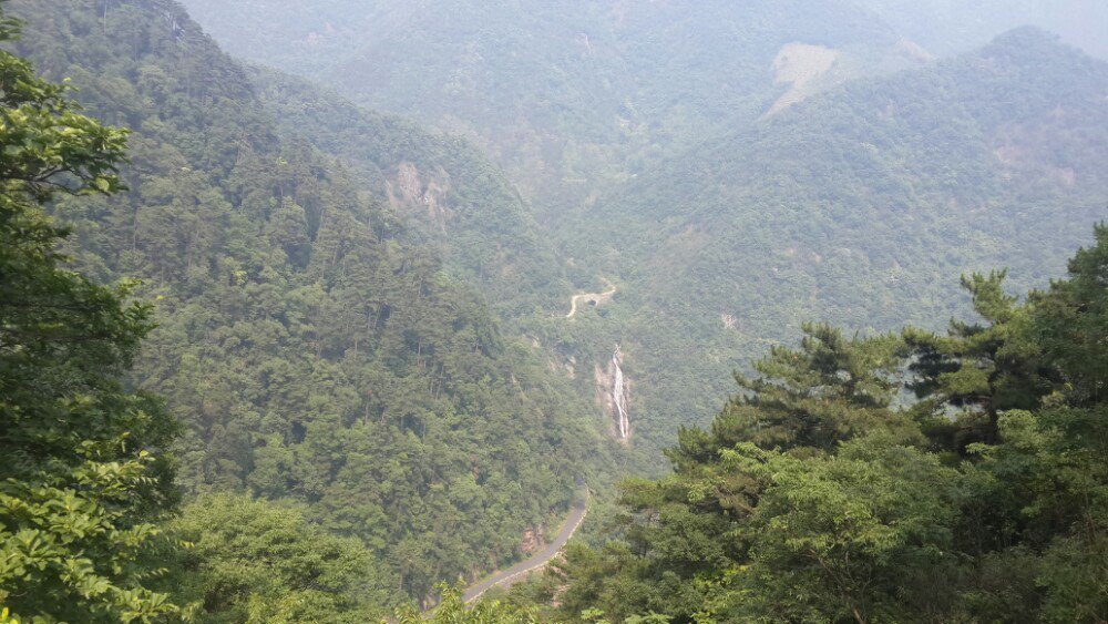 【携程攻略】浙江杭州临安天目山东天目山景区好玩吗