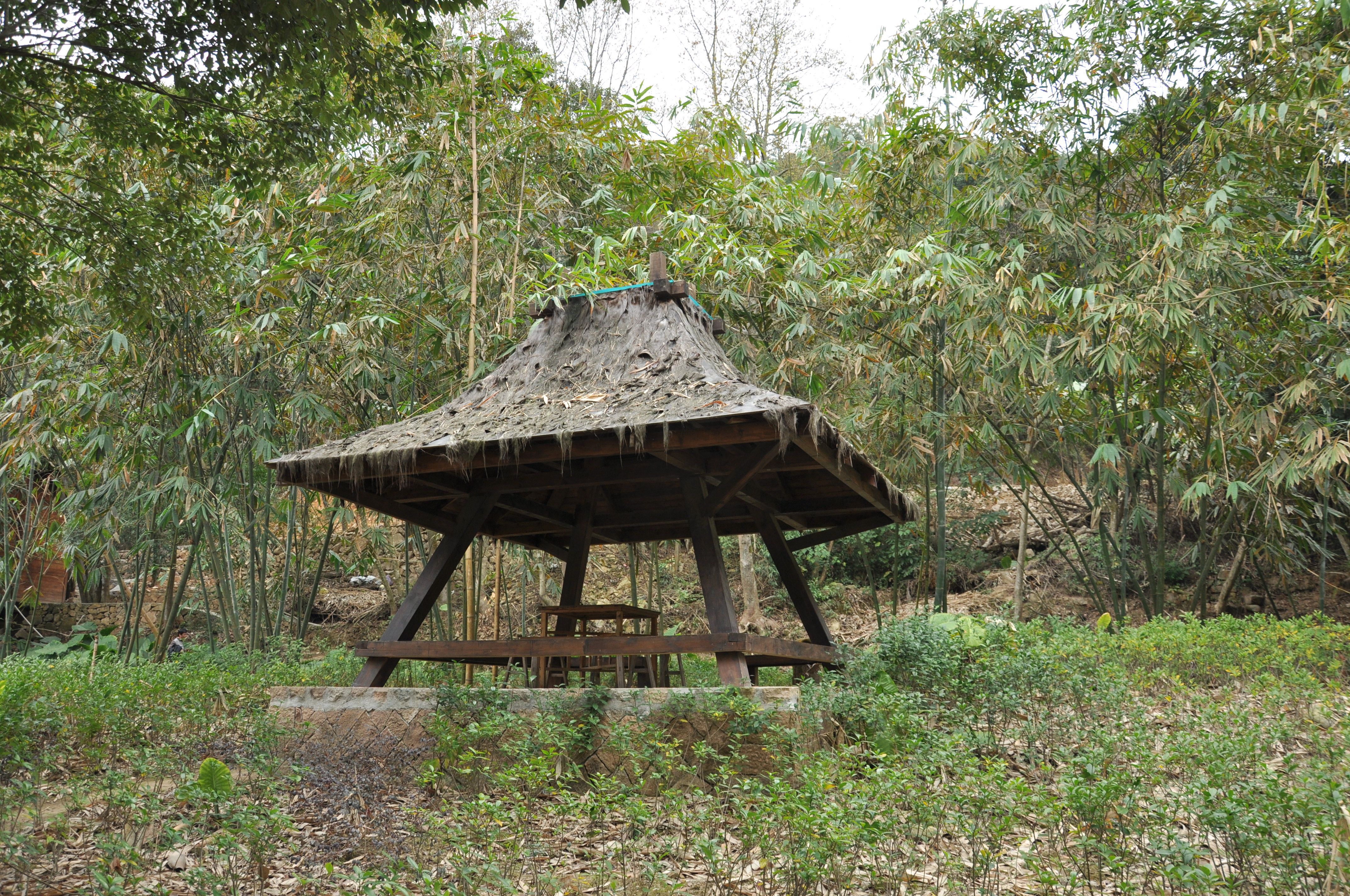 妈祖影片处                                               小草屋