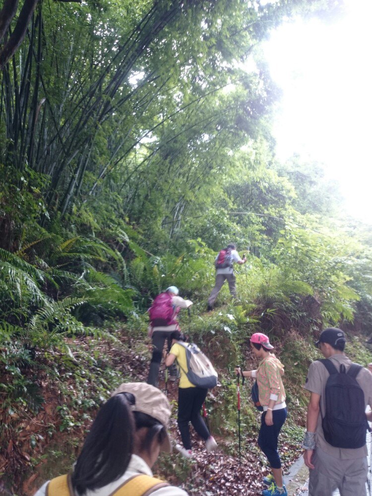 随手拍#城市周末:牛头山→天鹿湖公园越野徒步